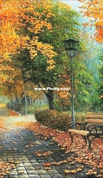 Bozenka 1001 - In the Park 550x548