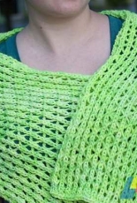 Trellis Shawl by Carisa Chang /Resolution 2013