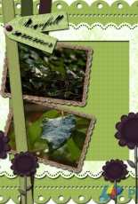Digital scrapbooking