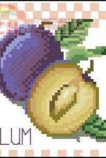 DOME  220803 Plum
