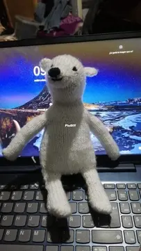 Polar bear!