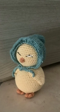 little chick