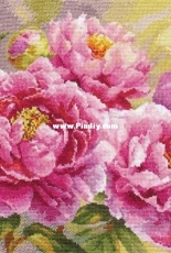 Alisa 2-35 Peonies
