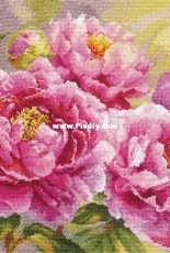 Alisa 2-35 Peonies