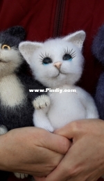 fluffy cats