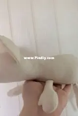 a big mouse