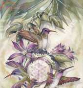 HAED HAEJB 002 Hummers by Jody Bergsma