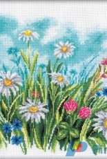 RTO M141 Daisies