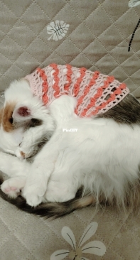 Handmade crochet cat sweater