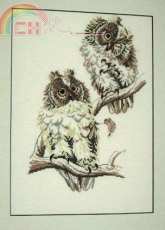 Pako 235.314 - Owls