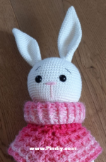 Funny Bunny