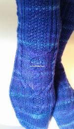 A Thrill Ride Socks by Denise Bein Kroll-Free
