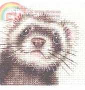 Fido stitch studio Ferret