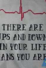 If life has no Ups & Downs