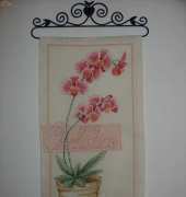 Orchid