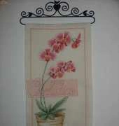 Orchid