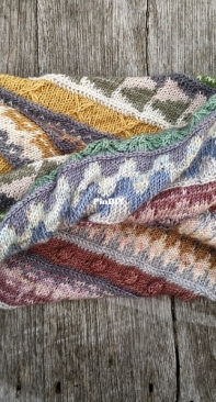 The Catvent Cowl by Marna Gilligan
