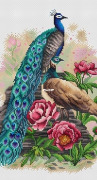 Peacocks by Alla Erokhova