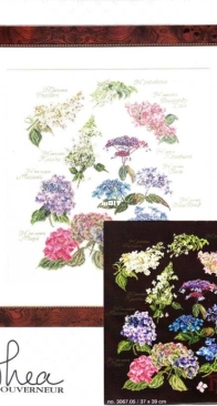 Thea Gouverneur 3067 - Hydrangea (scanned)