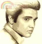 Vervaco 75.114 Elvis xsd