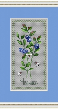 Blueberries by Tatiana Kormashova