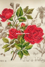 Veronique Enginger-Roses duc de Wellington