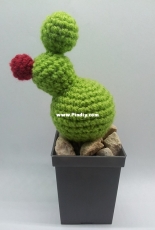 Ingrid Hansen - Cactus - Free