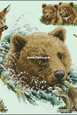 Janlynn 106-0049 Forest Creatures by Jayne Netley Mayhew XSD