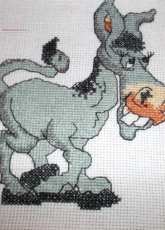Another animal