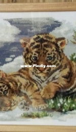 Riolis Tiger cubs in the snow