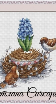 Hyacinth and Sparrows by Svetlana Sichkar XSD