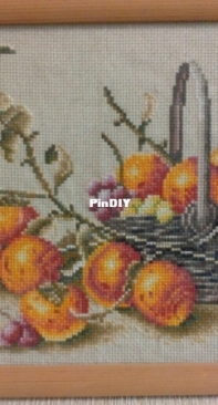 Golden Fleece - Persimmon