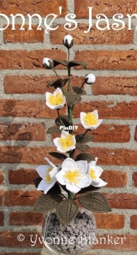 Yvonnes Crochet Art - Yvonne Blanker - Jasmine - Jasmijn - Dutch