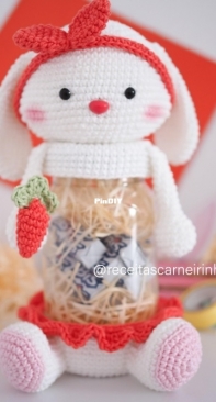 Receitas Carneirinho - Izabel Carneiro - Bunny Jar Cover - Capa para Pote Coelhinha - Portuguese