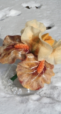 Felting Iris