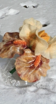 Felting Iris