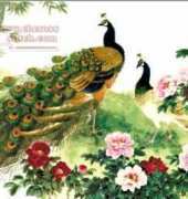 Peacocks and Peonies