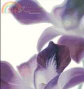 I Love CrossStitch ILCS APJ-001 - Purple Orchid I XSD