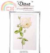 The Silver Lining SL20 Diana