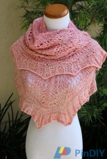 Golly Molly Shawl by Pam Jemelian