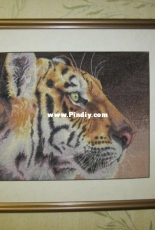 Dim 35171 Regal Tiger