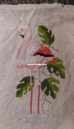 Small Flamingo.