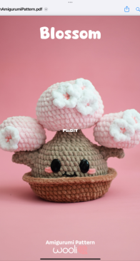 WooliGT or Wooli Amigurumis - Paola Arevalo - Blossom Amigurumi
