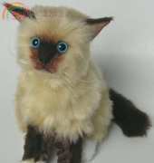 NunoDoll-Stuffed Rag Doll Kitten
