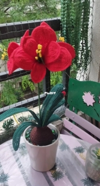 Amarillys