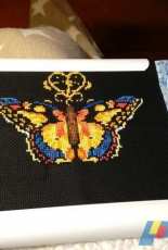 The Ornate Butterfly by Dimensions