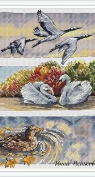 Autumn Birds Inna Peshkova - Free