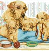 Anchor PCE810 Golden Labrador Family