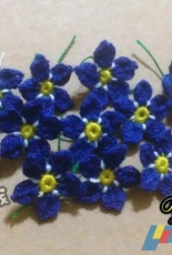 forget-me- not
