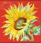 Maia 5678000-05029 Joie de Vivre